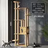 Dreamy Meow Immortal Residence