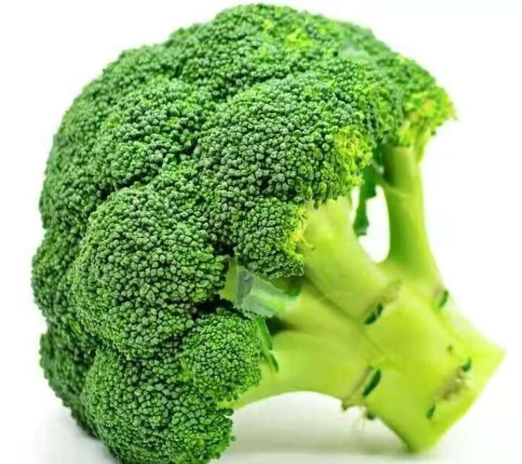 chinese fresh broccoli with low price 2021 new crop wholesale