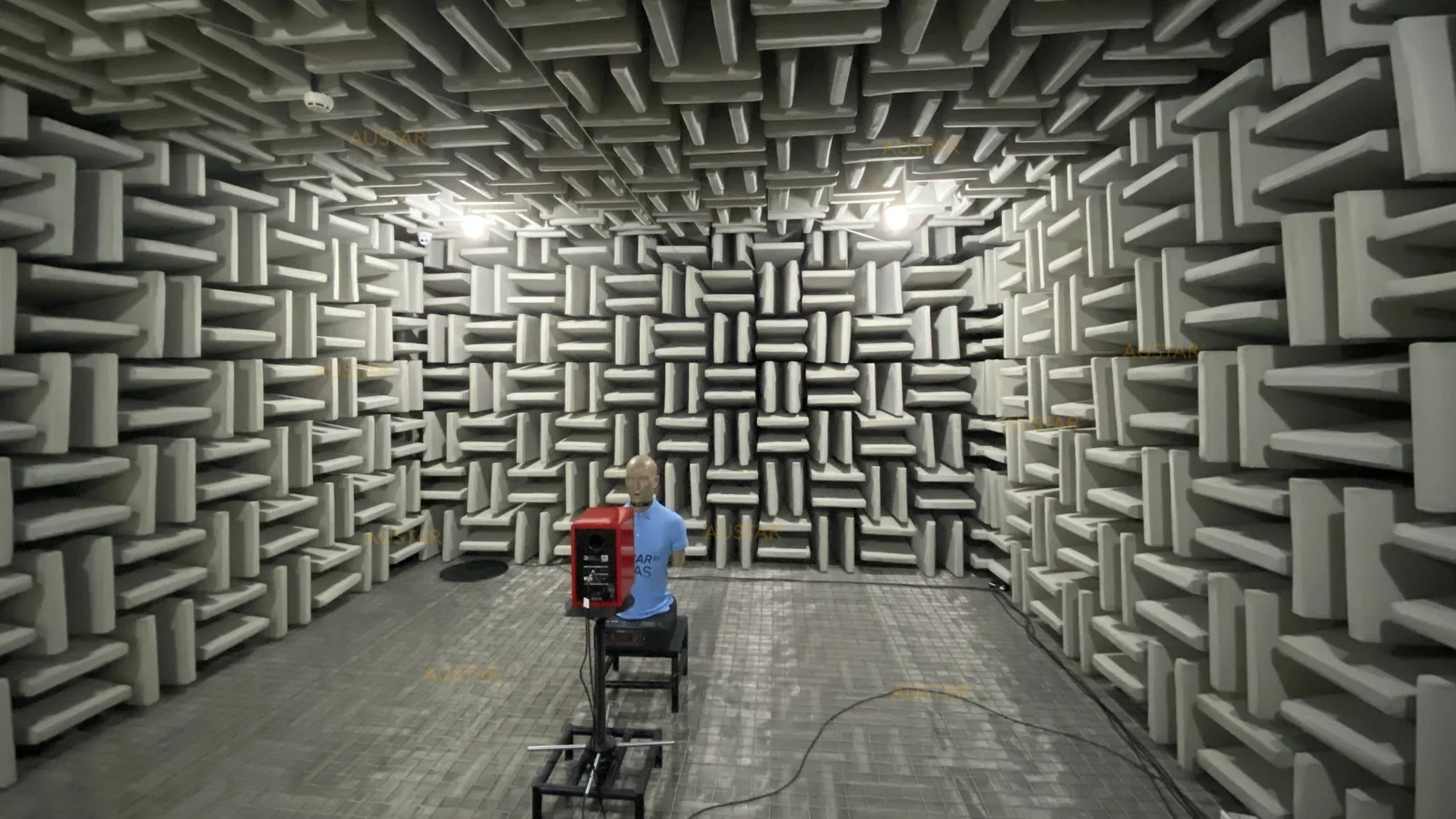 Hearing Aid Manufacturer Laboratory