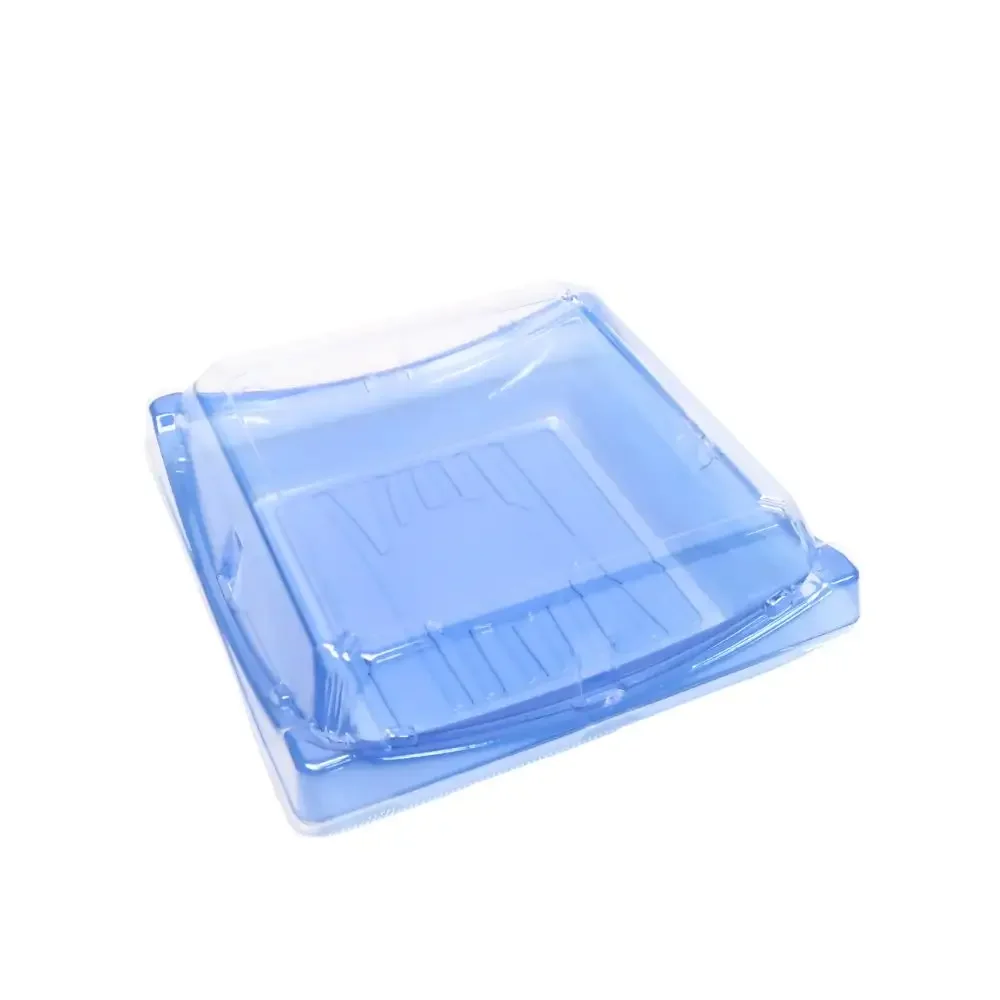 Fast Shipment Disposable Rectangular to Go Packaging Box Clear Blue Plastic Sushi Box with Anti Fog Lid