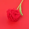 Finished carnation flower branch (red)