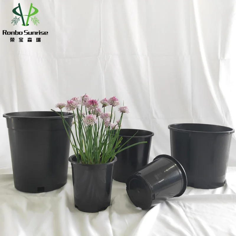20 Vasi Per Piante In Plastica Trasparente 10 Cm Con Foro E Base In Silicio Rimovibile - Ideali Per Semina, Talee E Piante Grasse - Per Interni Ed Esterni - 4