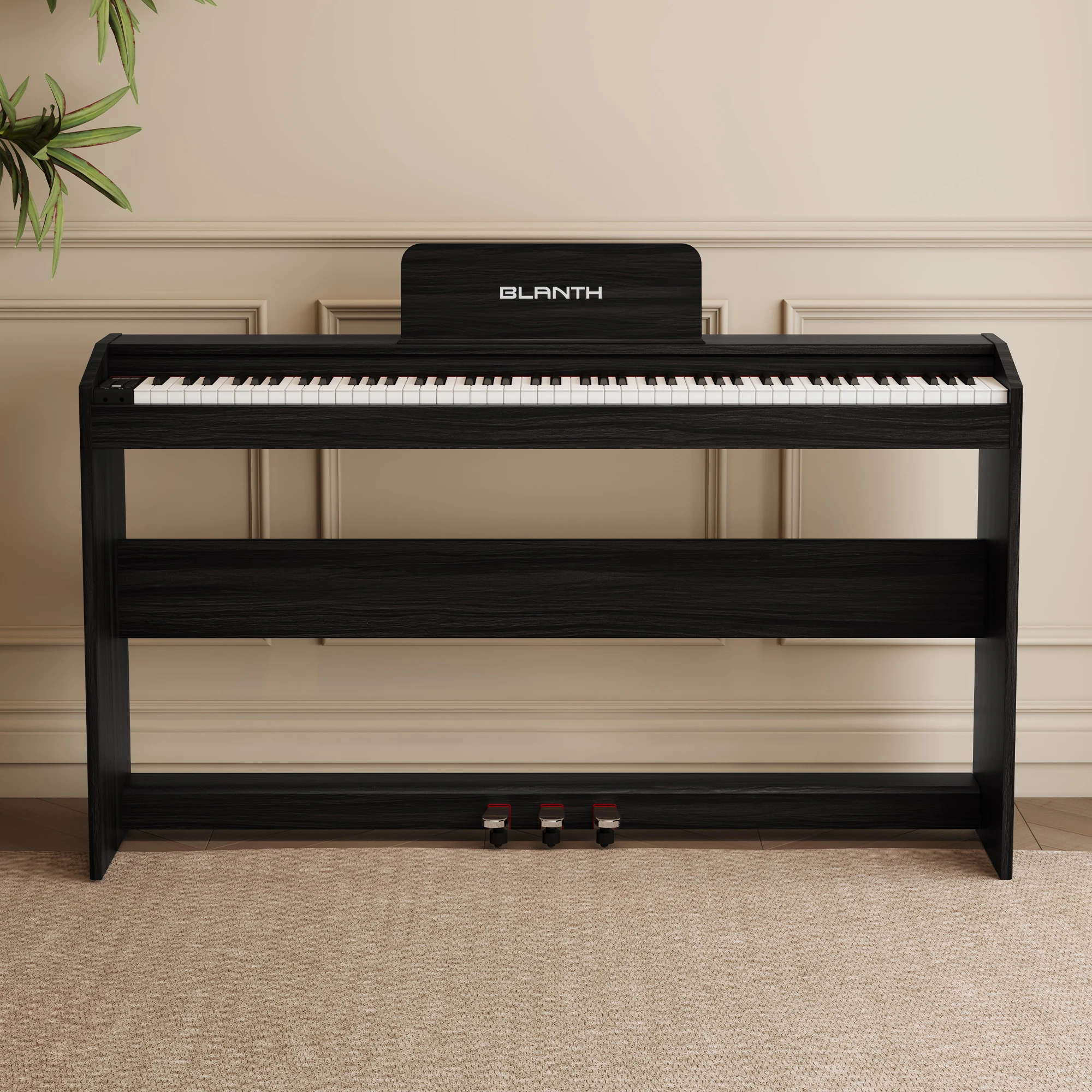 Electric Piano Keyboard - 88 Keys for Sale with Accessories