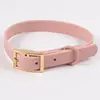 dog collar color 6