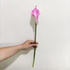 rose YL80450