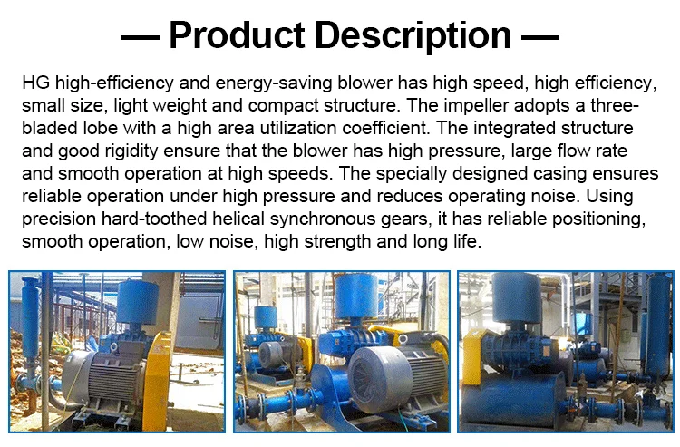 Roots Blower, Cast, 0.6-1200m/min - detail 18