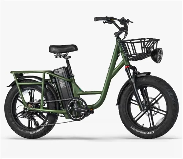 Fiido T1 Pro Cargo Electric Bike With 20inch Fat Tires 750w Motor 48v