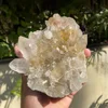 racimo de flores de cristal blanco