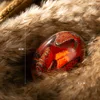 GTB01A -red egg