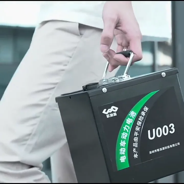 Li-Ion Akku 60 Volt 20 Ah für Elektromobile, Seniorenmobile und mehr