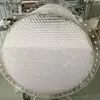 transparent