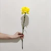 สีเหลือง
