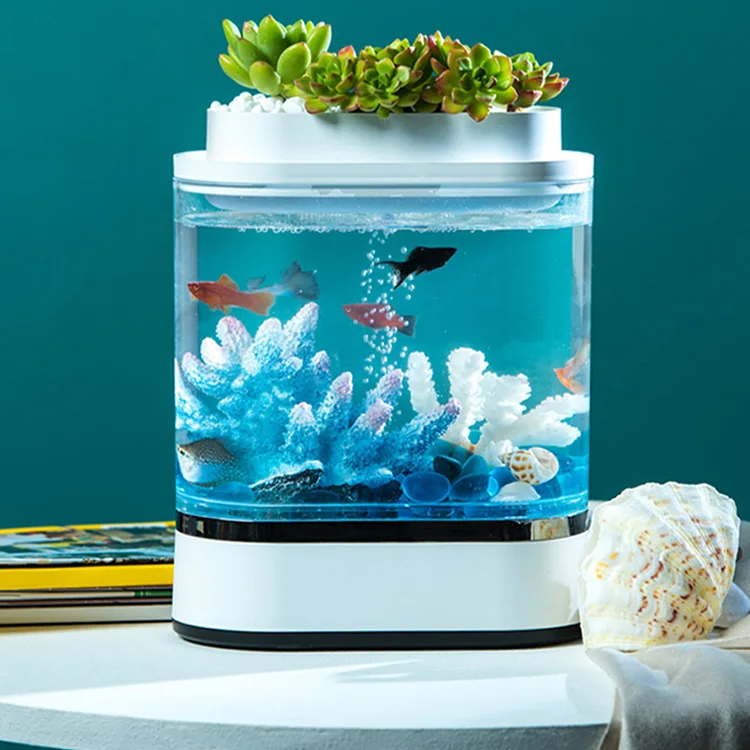 水槽ミニカスタマイズアクリルガラス水族館 Buy 魚水槽 小さな水槽 かわいい水族館 Product On Alibaba Com