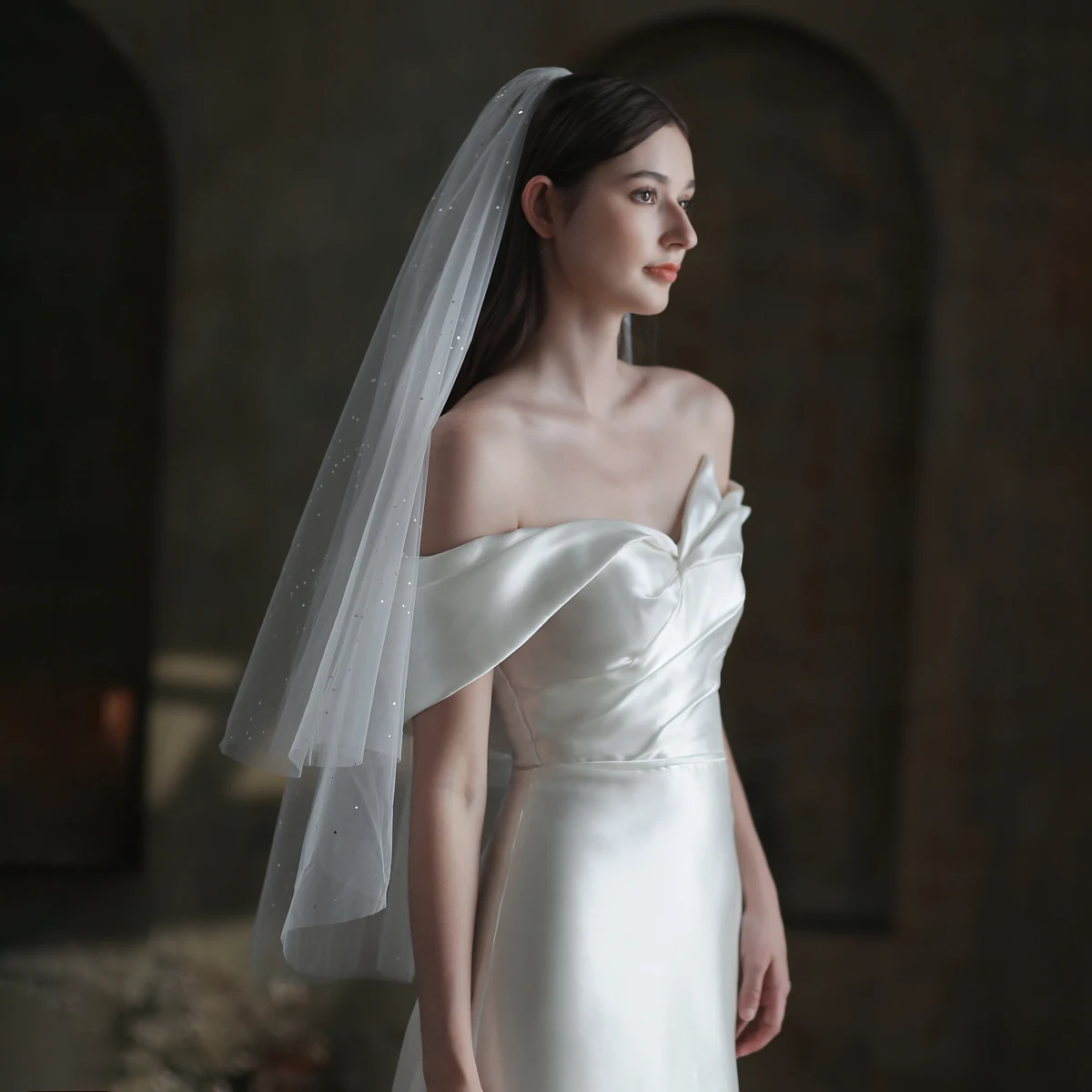 Elegant White Sparkling Veil, Sparkling White Wedding Veil White Sparkle Veil - Etsy Canada main image 3