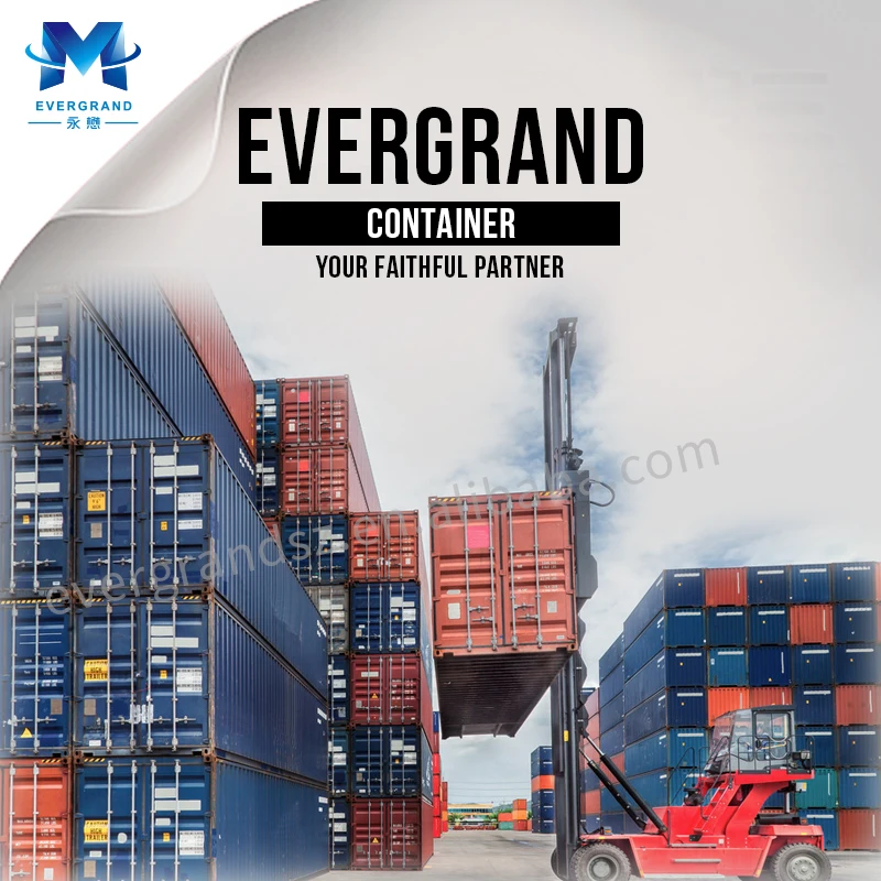 10 Years Sea Transport Freight Forwarder Shipping Agent Door to Door Sea Freight China to Namibia/Walvis Bay