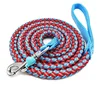 Dog Leash 08
