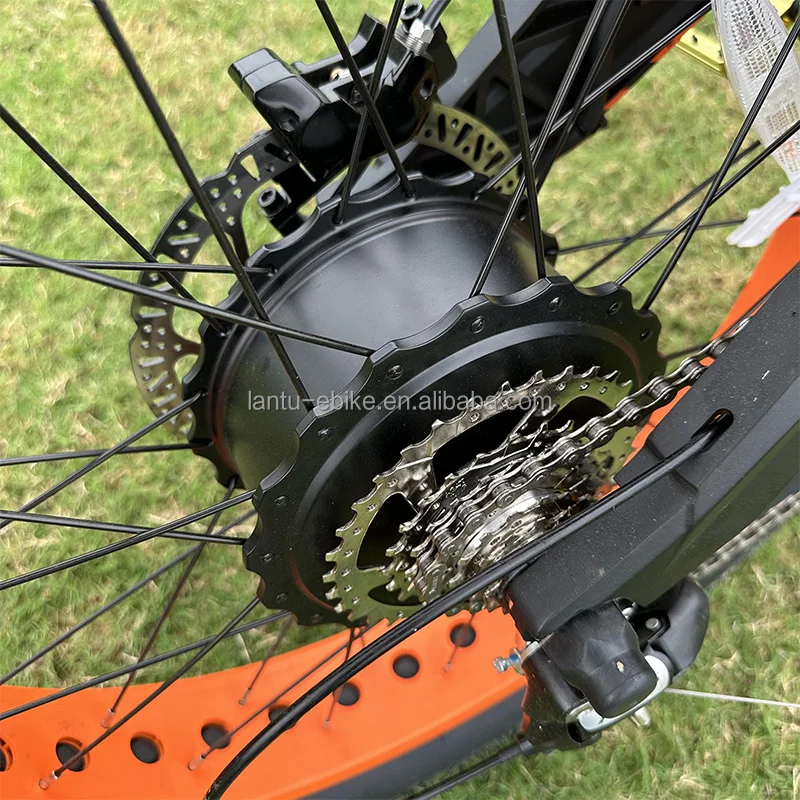 Lantu Ebike Customized Fast 48v 52v 1200w Mtb off Road 24 Inch Dirt Electric Bike