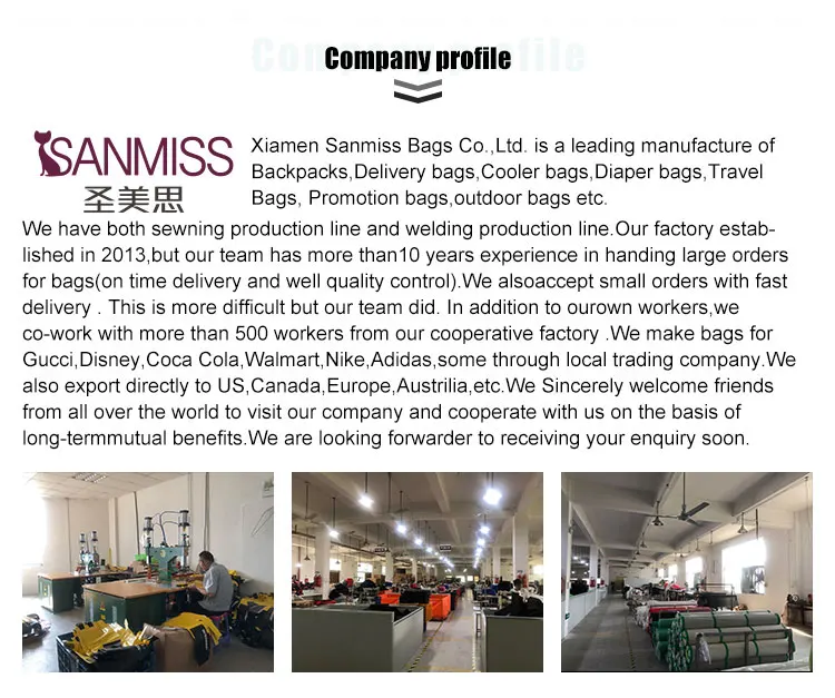 Wholesale Electric Food Delivery Bag 12v 100w/pizza Hot Food Delivery