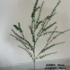Prateria a mille strati Dt