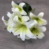White Green