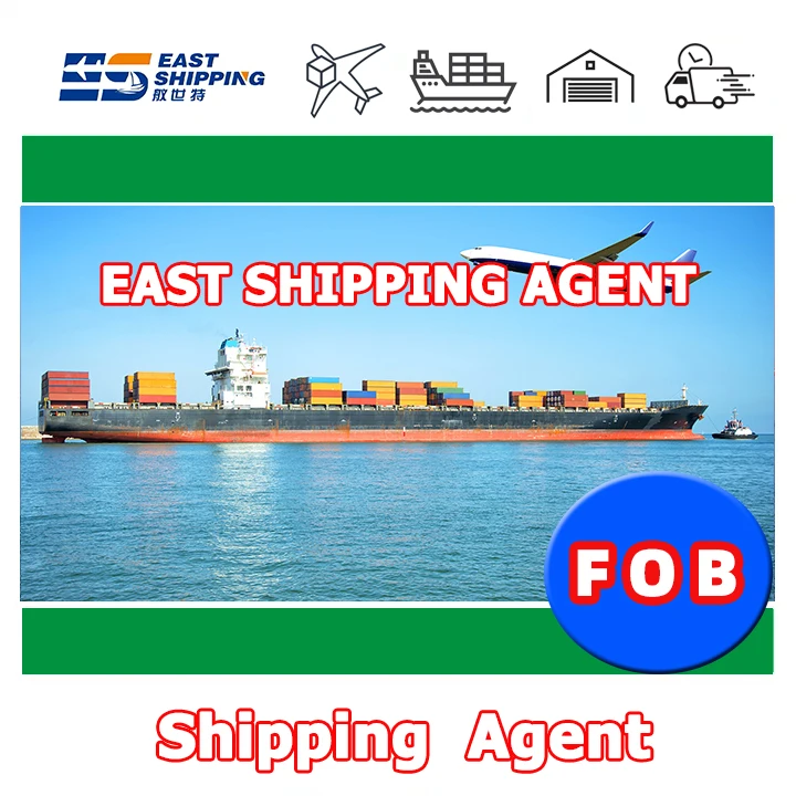 International Sea Shipping To Peru FOB Chinese Freight Forwarder Logistics Service From China Shipping To Peru