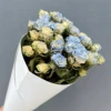 Multicabezal azul hielo 1 haz 10
