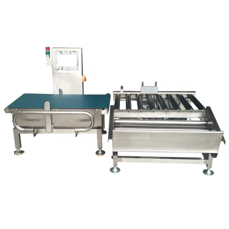 Juzheng 50kg High Load Inline Automatic Weighing Machine Checkweigher Manufacturer for Large Items