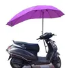 Violetto