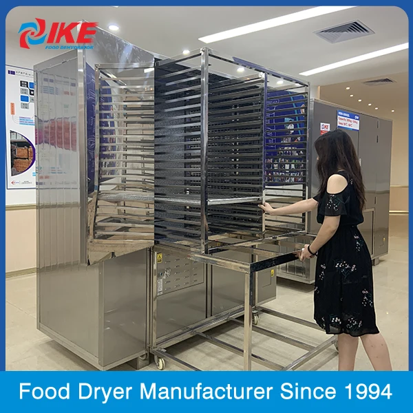 WRH-300gb High Temperature Stainless Steel Food Dehydrator Machine