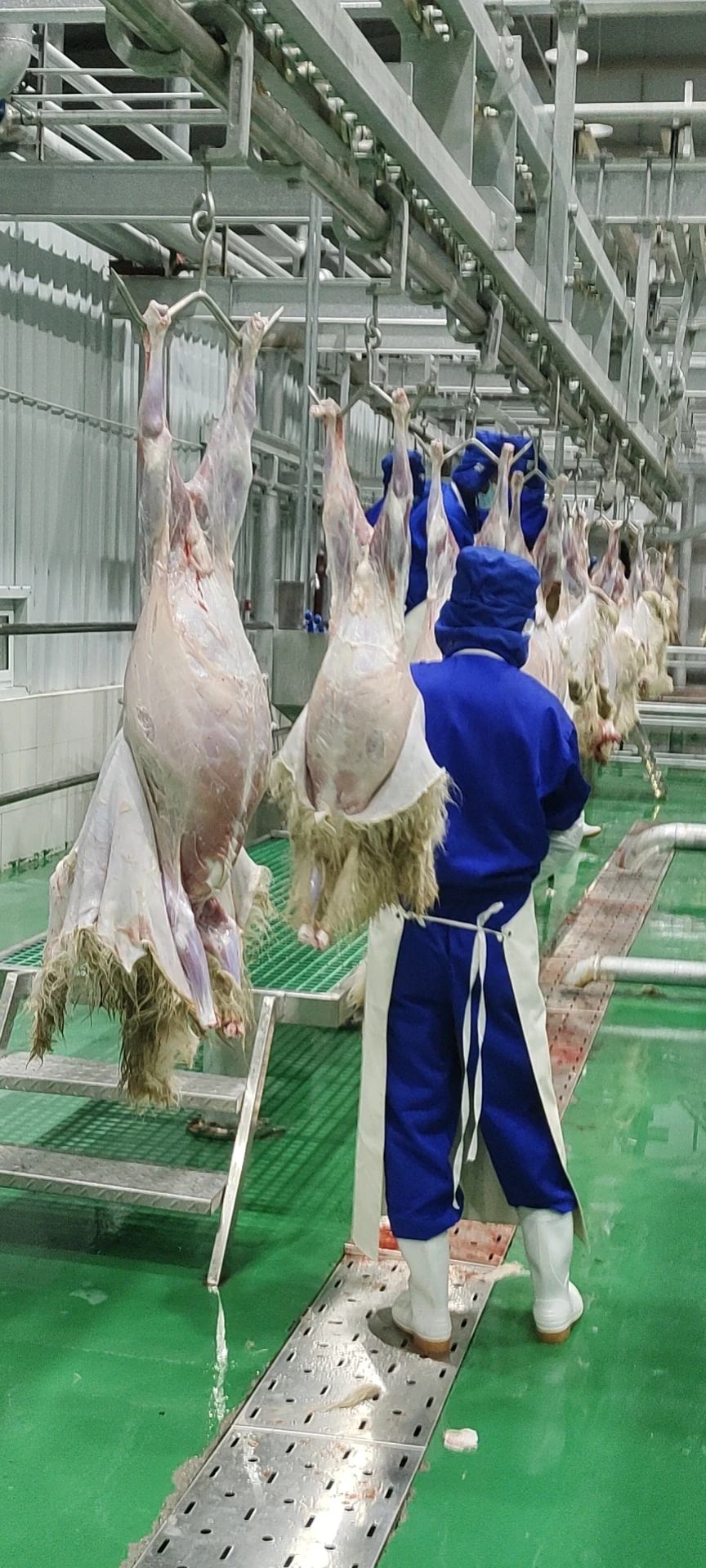 Advanced fully automatic sheep slaughtering production line equipment, steel slaughterhouse equipment for halal meat processing