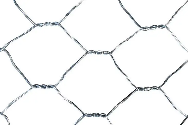 Chicken Fence Hardware Cloth Galvanized Wire Mesh Iron Wire Mesh Gabion 