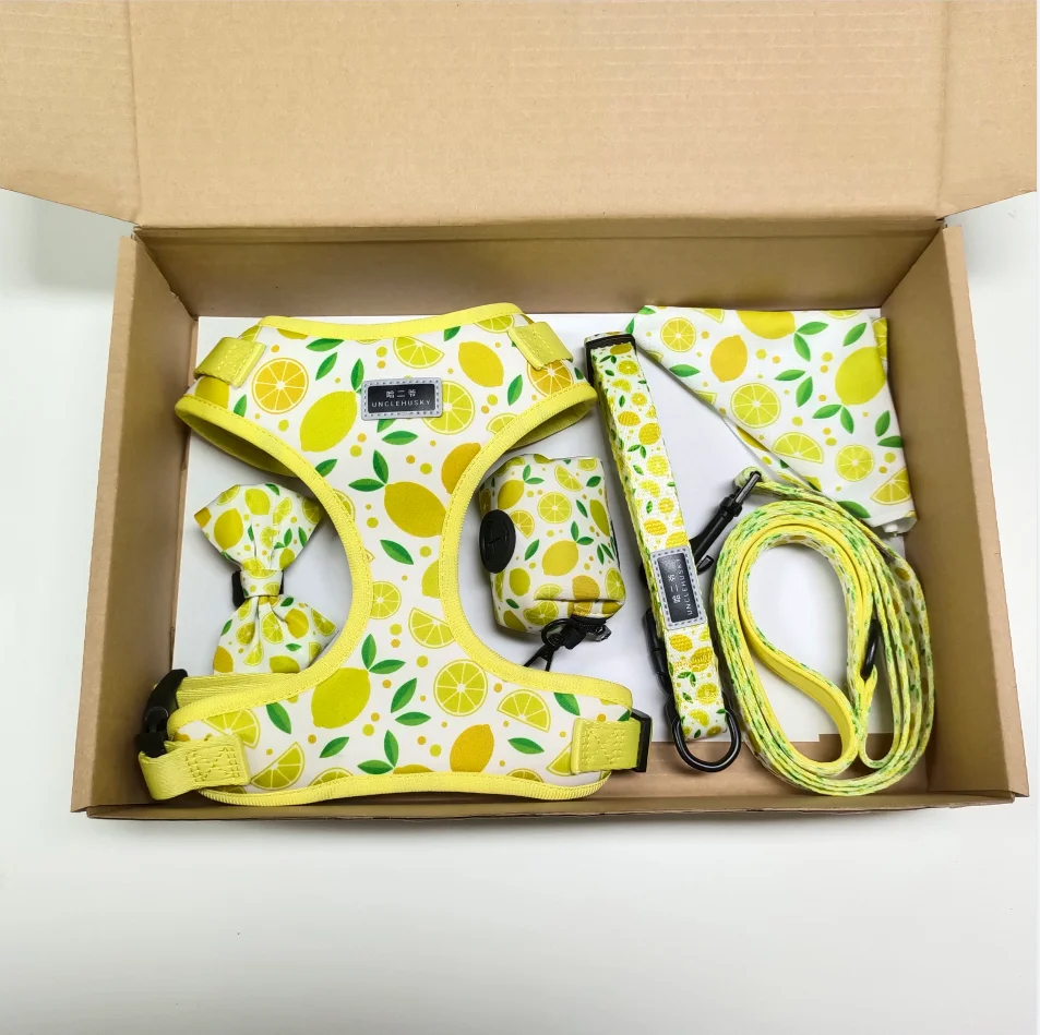 Custom Box Dog Product Adjustable Dog Harness Vest Premium Dogs Harness Accesorios Para Mascotas Correas Para Perros Y Gatos
