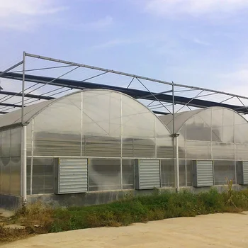 Plastic Film Greenhouse for Tomato/Cucumber/Flowers/Vegetable/ Planting with Hydroponic System