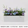 Giornale da Giardino Blu-Viola Scatola di Fiori