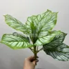 Gran manojo de hojas de manzana
