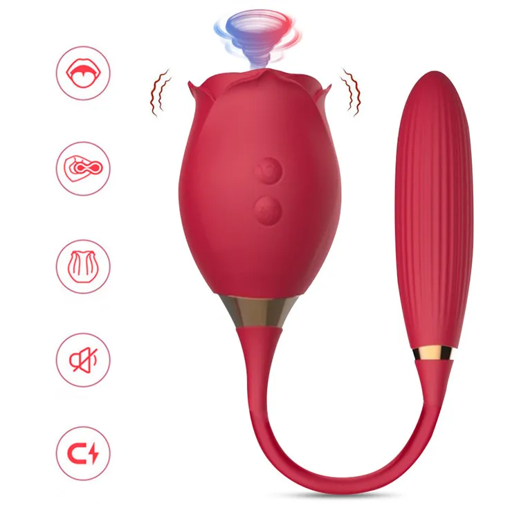 Chargeur 2 en 1, vibromasseur en silicone en forme de rose rouge, suceur de  clitoris, vibromasseur suceur de vagin avec gode qui se dplace de haut en  bas