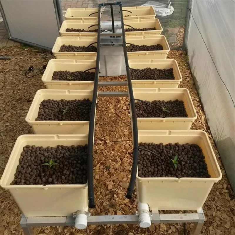 Complete Dutch Bucket  System for Grow Cucumber and Tomato
