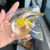 Boule de fruits en tranches de citron