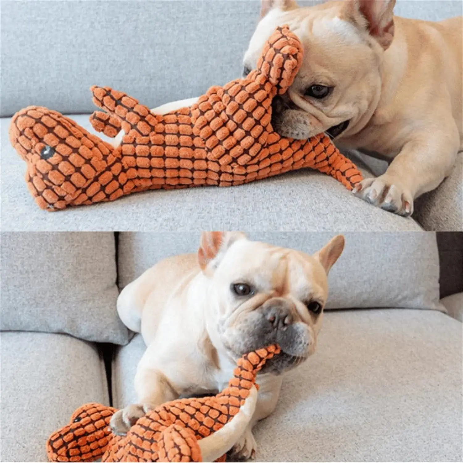 animal planet dog squeaky toys Stuffless Squirrel Squeaker Dog Toy – Hound Planet main image 1