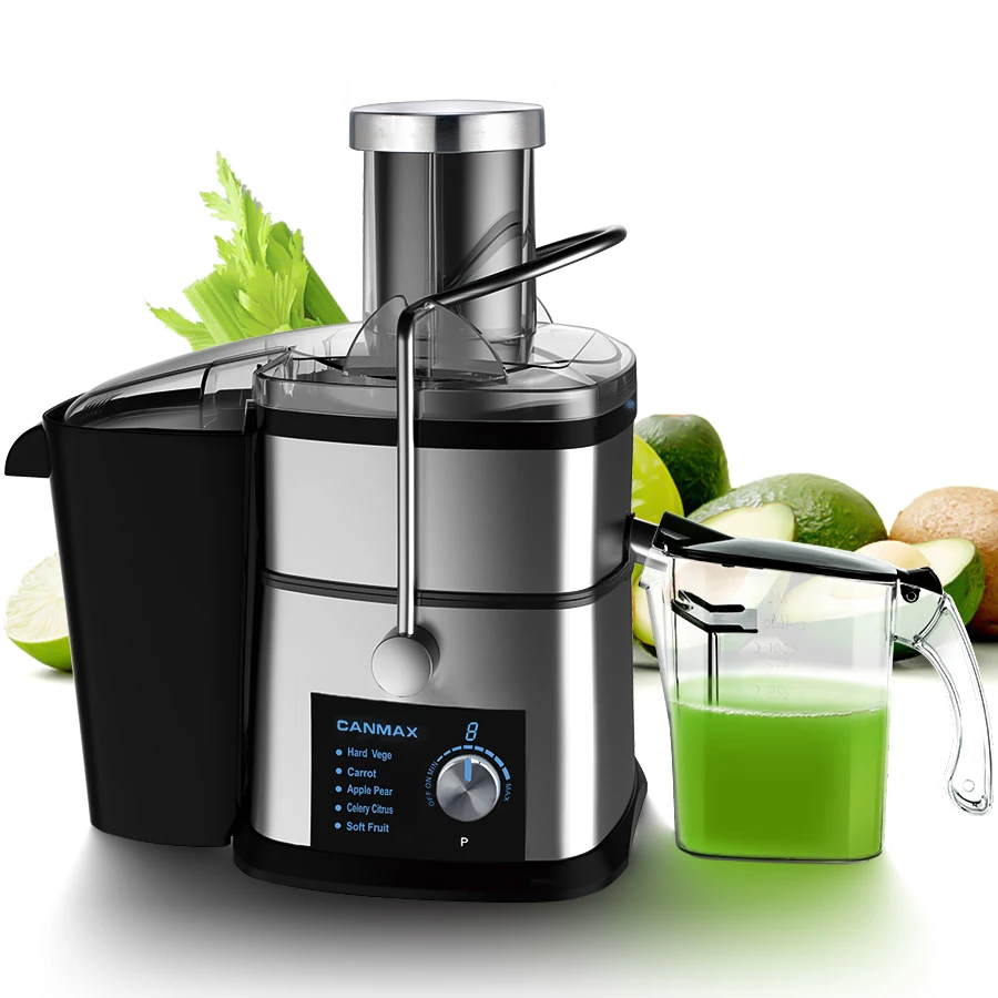 800W Full Apple Juice Extractor - Stainless Steel