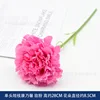 Single-headed short-stem carnation - rose pink