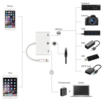 Mobile phone network cable converter for iPhone wired network card straight cable network cable connector with charging