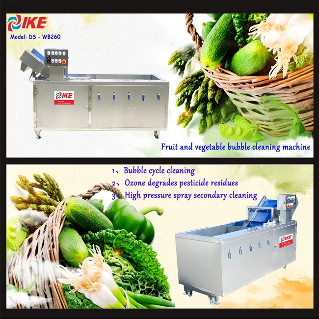 Multifunctional Passion Fruit and Vegetable Brush Bubble Washing Drying  Selection and Cutting Production Line - China Fruit Brush Washing Drying  Production Line, Vegetable and Fruit Production Line