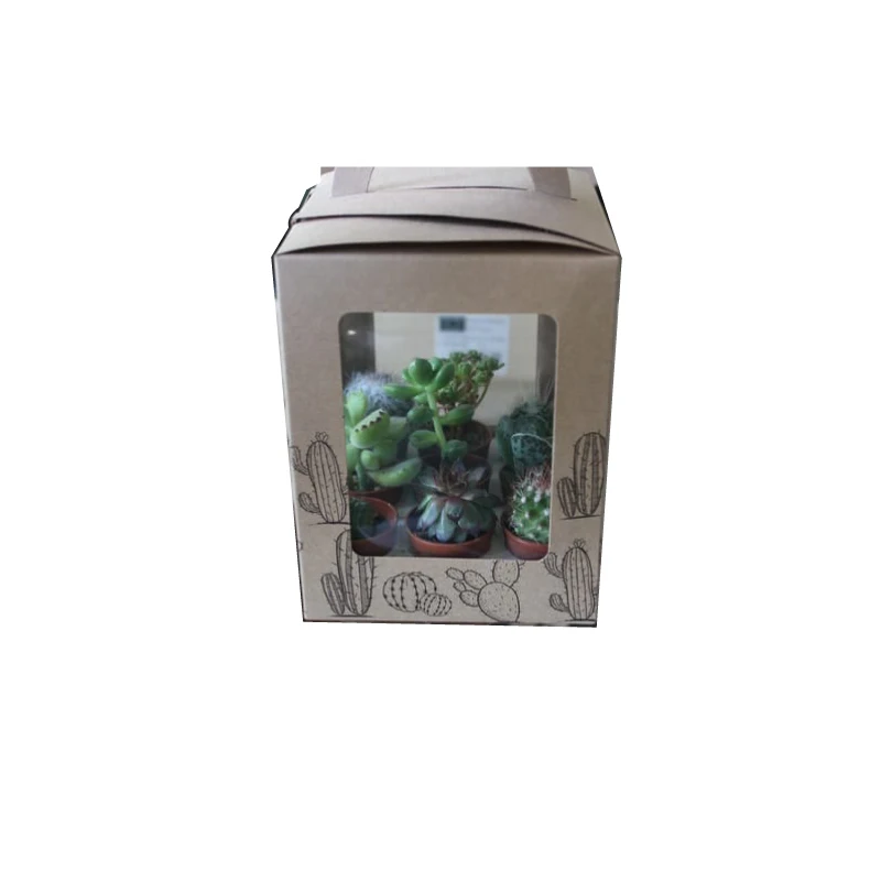 Kaktus-Transport verpackung mit Zimmer pflanzen versand box fr Sukkulenten
