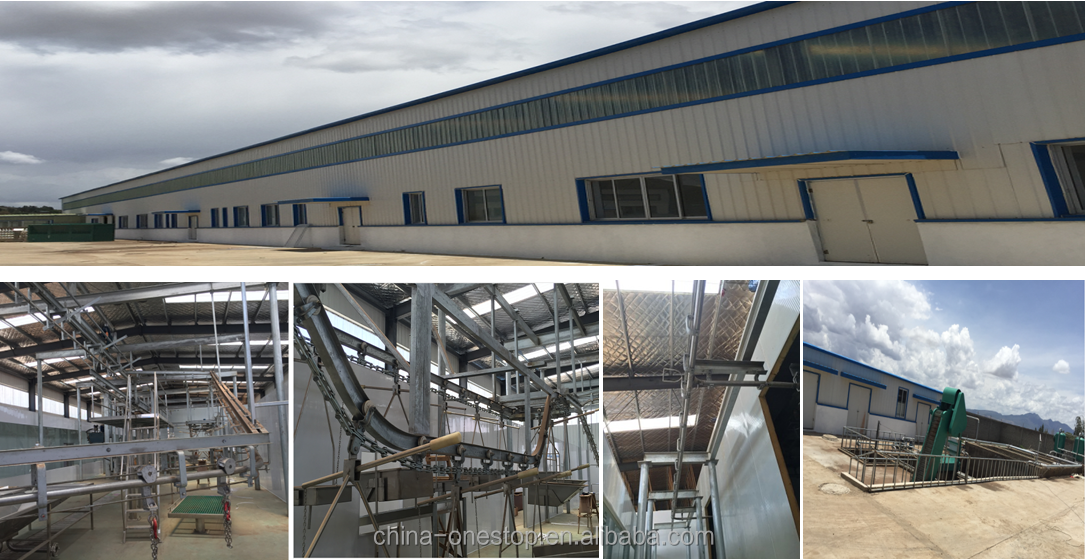 Beef slaughterhouse processing equipment