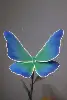 Mariposa azul con tira de luz.