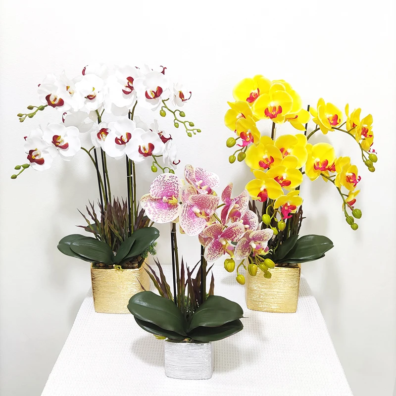 人造最新定制白色蝴蝶兰盆景真触摸兰花植物套装盆栽兰花蝴蝶兰 - Buy Product on Alibaba com
