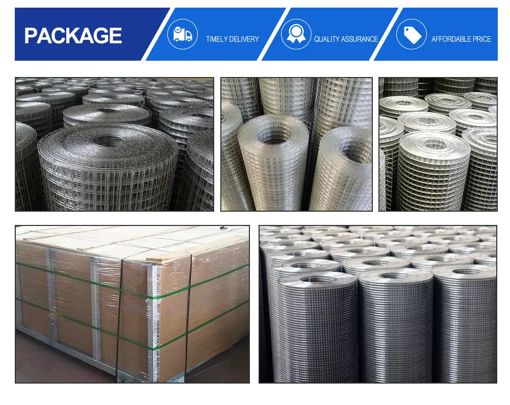 Pvc Coated Stainless Steel Wire Mesh / Hot Dipped Galvanized Welded