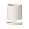 Blanco roto