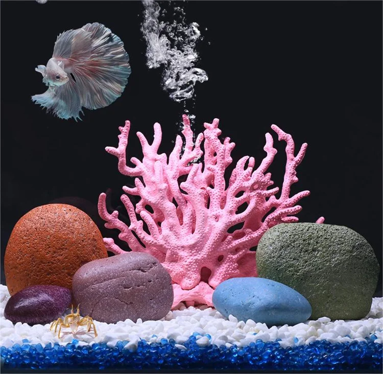 観賞用・アクアリウムなどに☆ 白サンゴ　大きめサイズ 61Nibg0WrFL._AC_UF894,